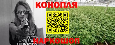 сатива Кунгур