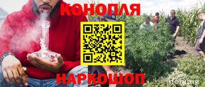 сатива Кунгур