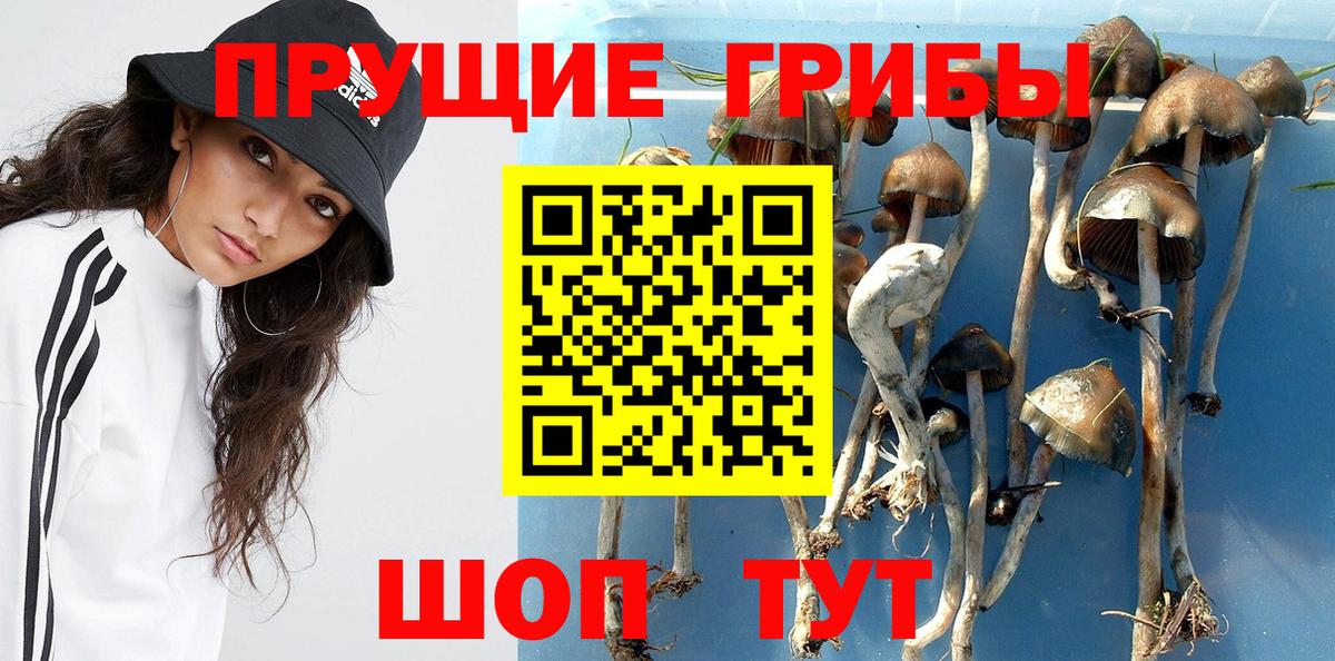 Псилоцибиновые грибы ЛСД Добрянка