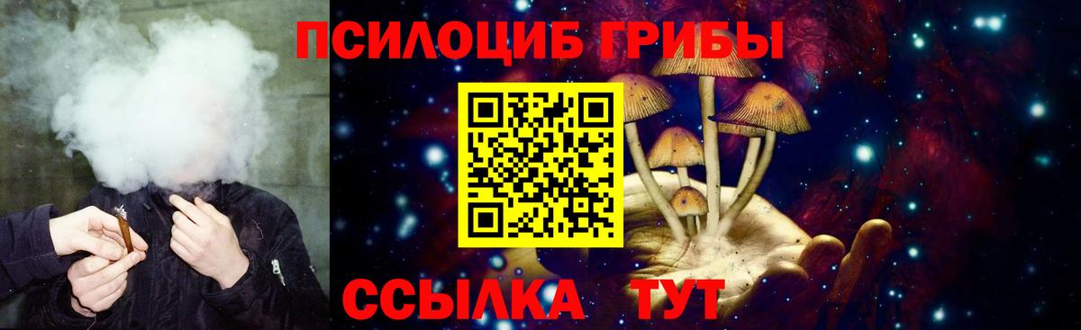 Псилоцибиновые грибы мицелий  Вход с VPN  хочу наркоту  Добрянка 
